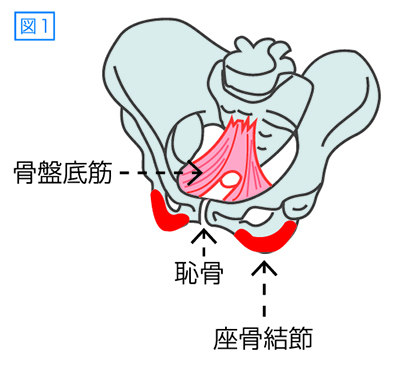 亀田ニュースNo.879（12月1日号)01.indd
